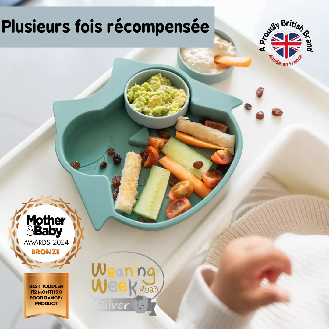 Assiette Silicone Bébé Ventouse Sans BPA - Assiette En Silicone - Passe Au Lave-vaisselle Assiette Compartiment Bebe Assiette Silicone Bébé Ventouse Sans BPA - Assiette En Silicone - Passe Au Lave-vaisselle Assiette Compartiment Bebe